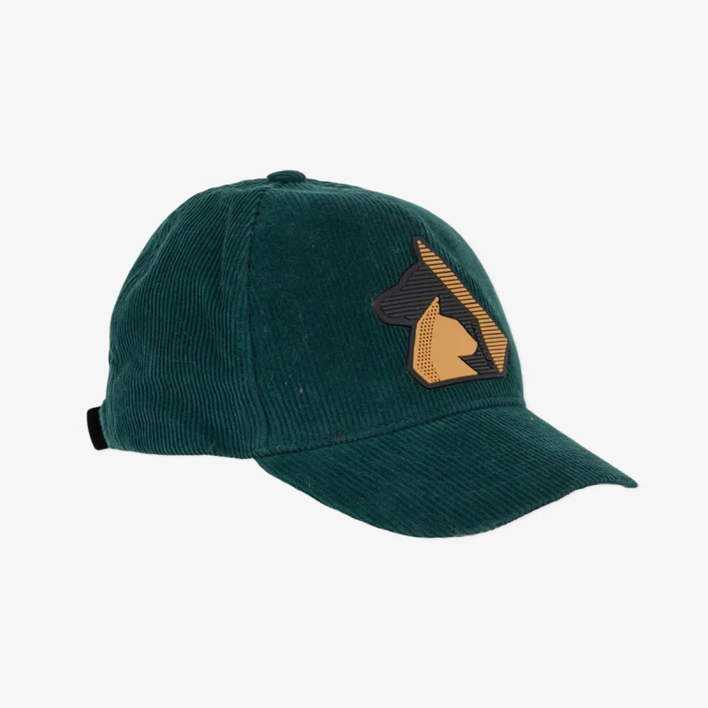 Boys' green velvet graphic hat