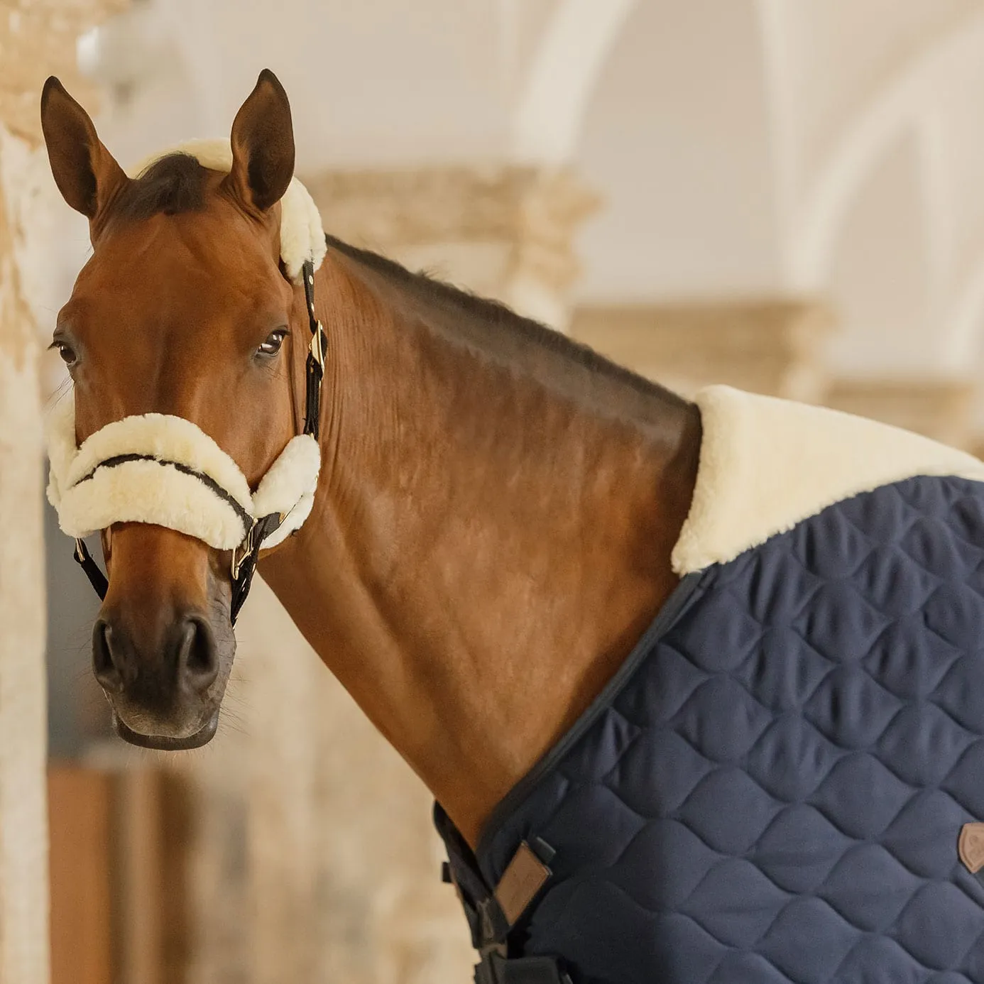 Kentucky Horsewear Comfort Stable Rug 300g - Navy