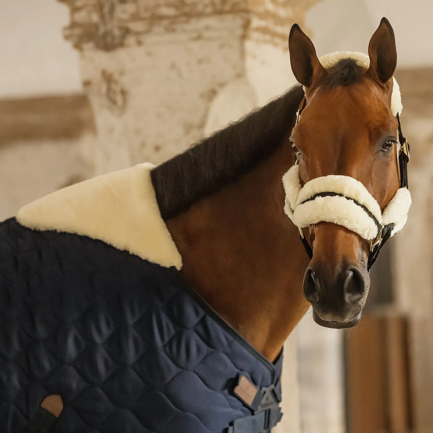 Kentucky Horsewear Comfort Stable Rug 300g - Navy