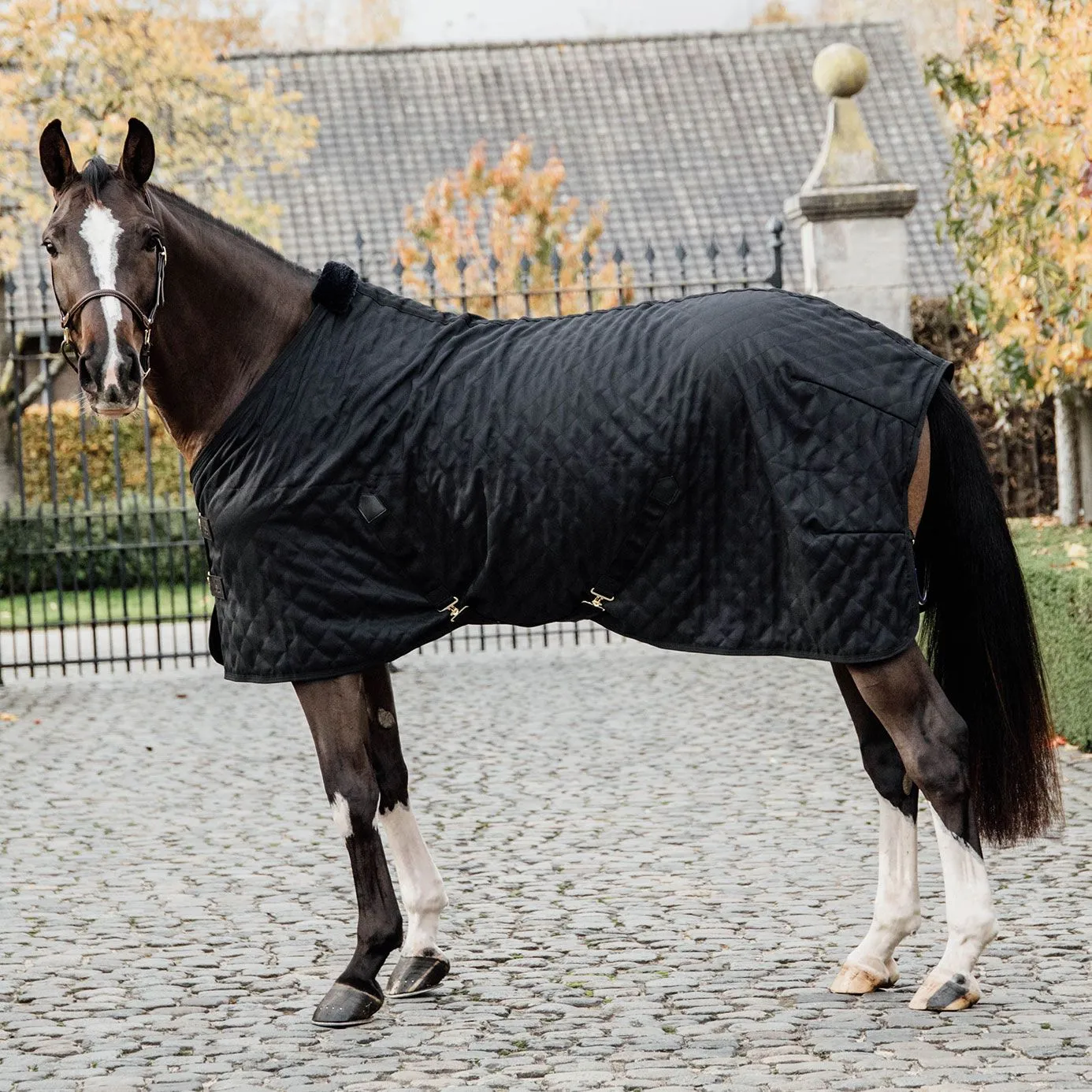 Kentucky Horsewear Stable Rug 0g - Black