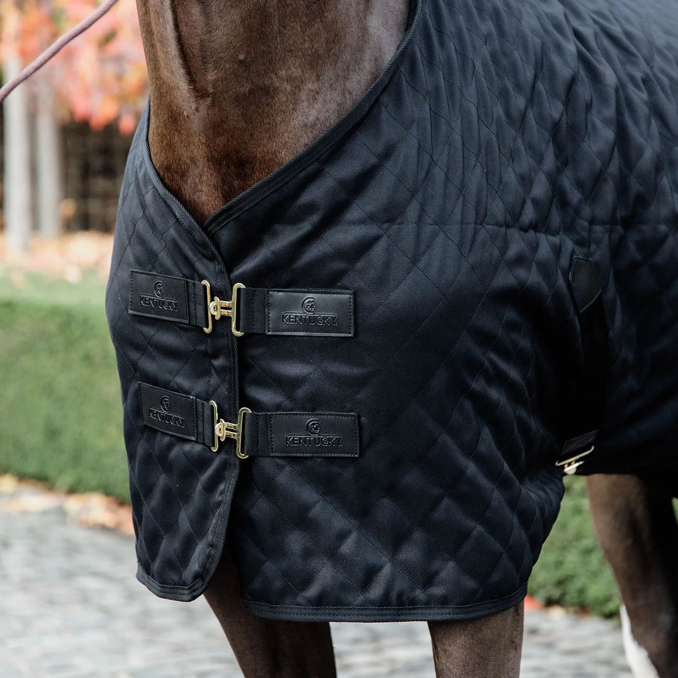 Kentucky Horsewear Stable Rug 0g - Black