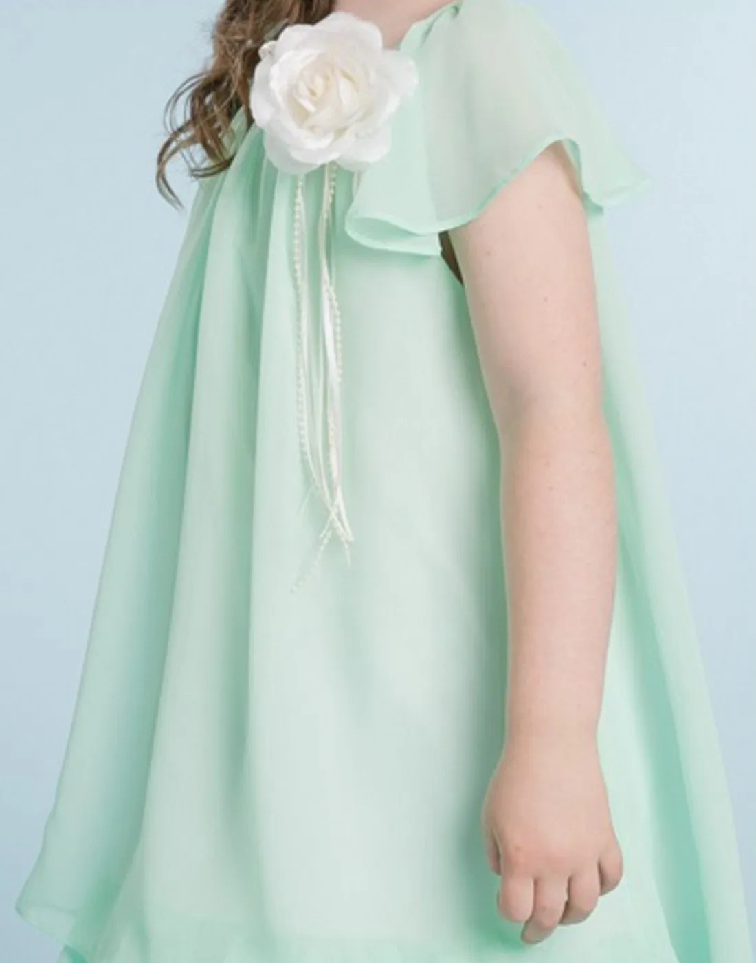 Modish Two Layered Chiffon Pleated DressRule - Mint