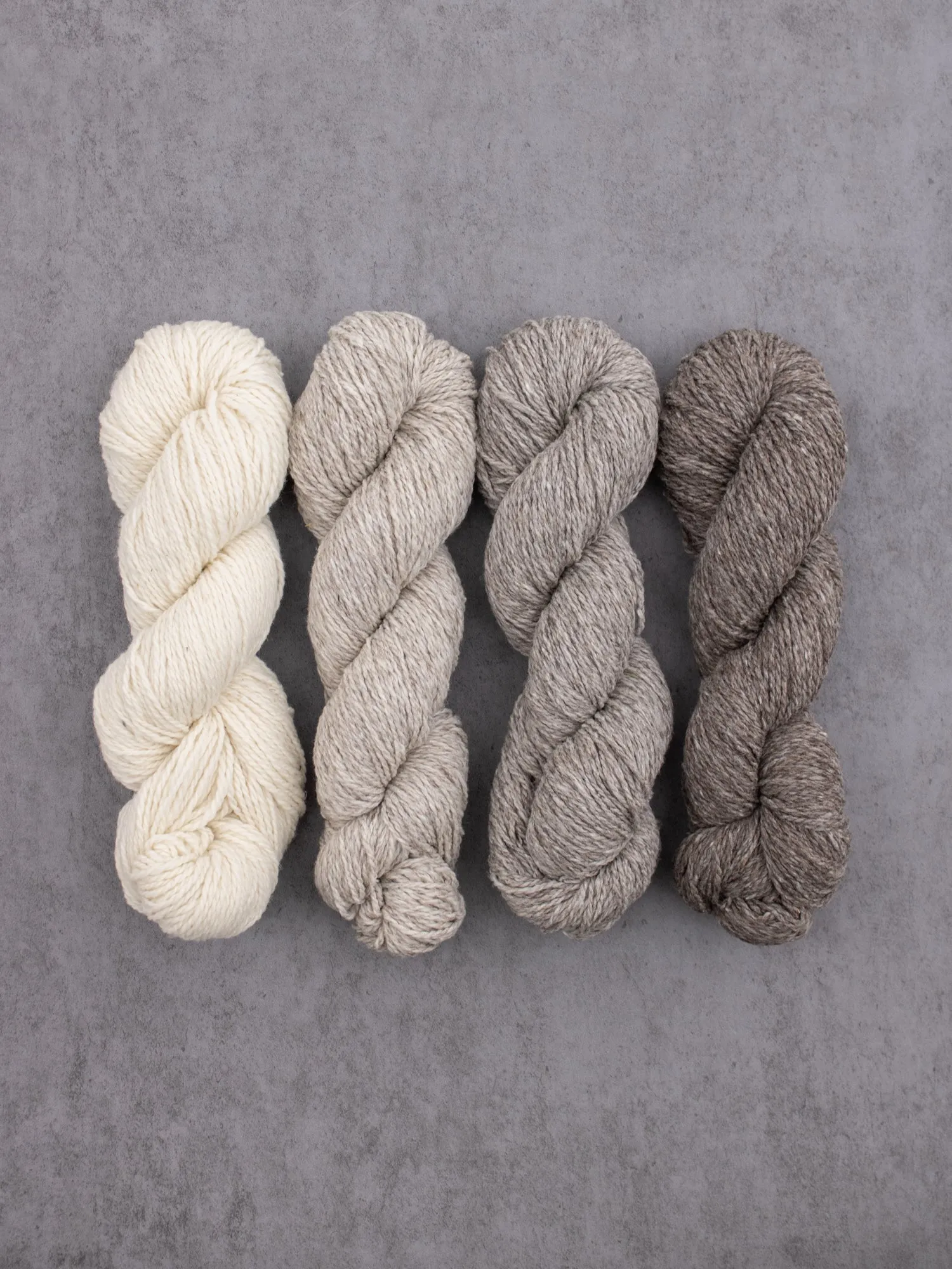 Targhee Tango Worsted <br><small>100% targhee wool</small>