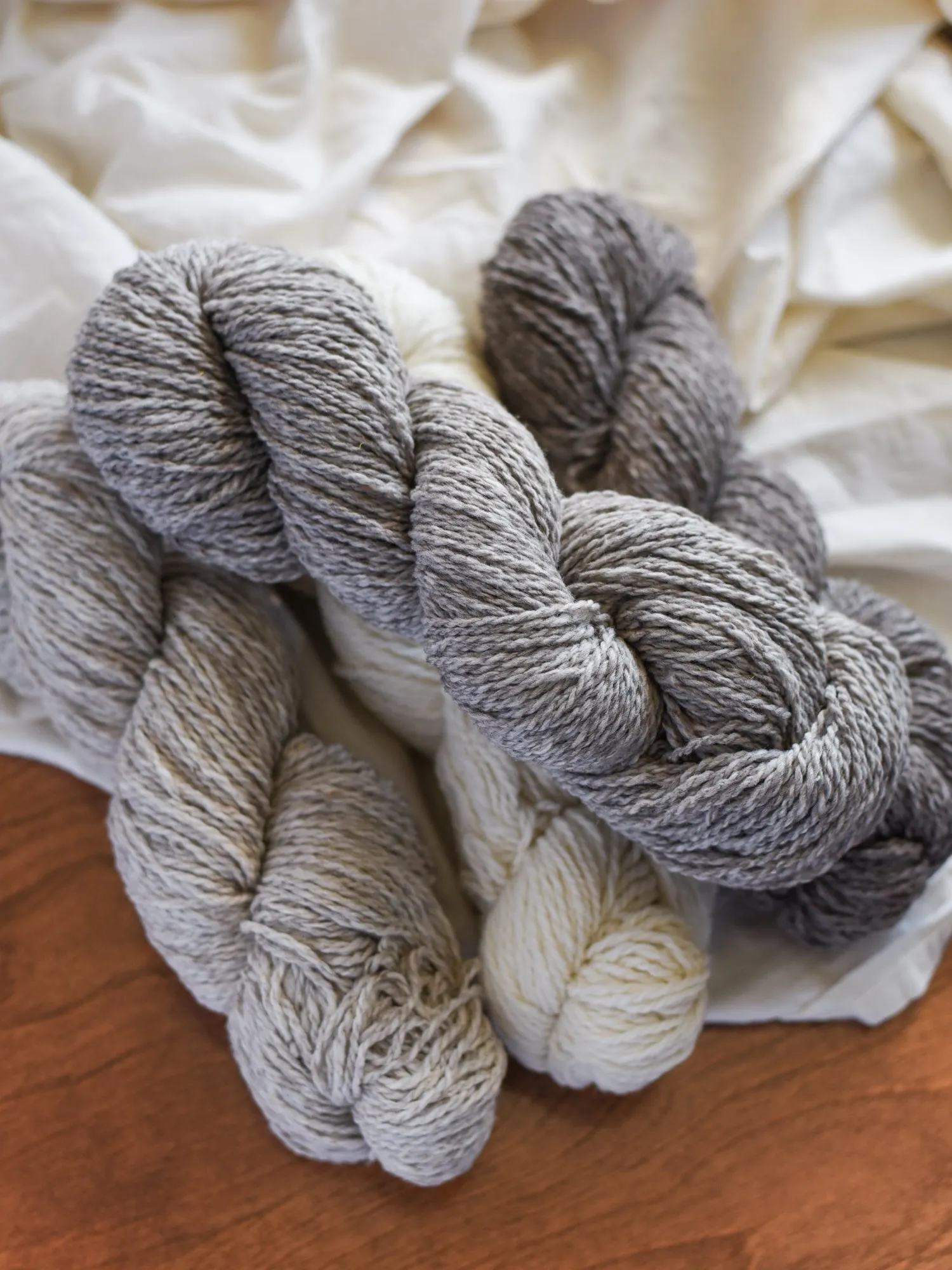 Targhee Tango Worsted <br><small>100% targhee wool</small>